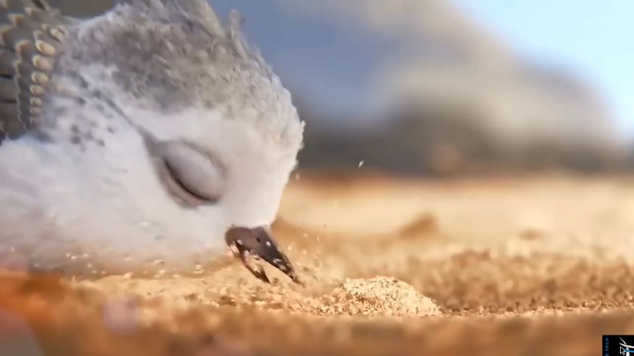 Piper, Pixar 2016